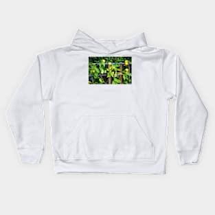 Sherman Gardens Study 31 Kids Hoodie